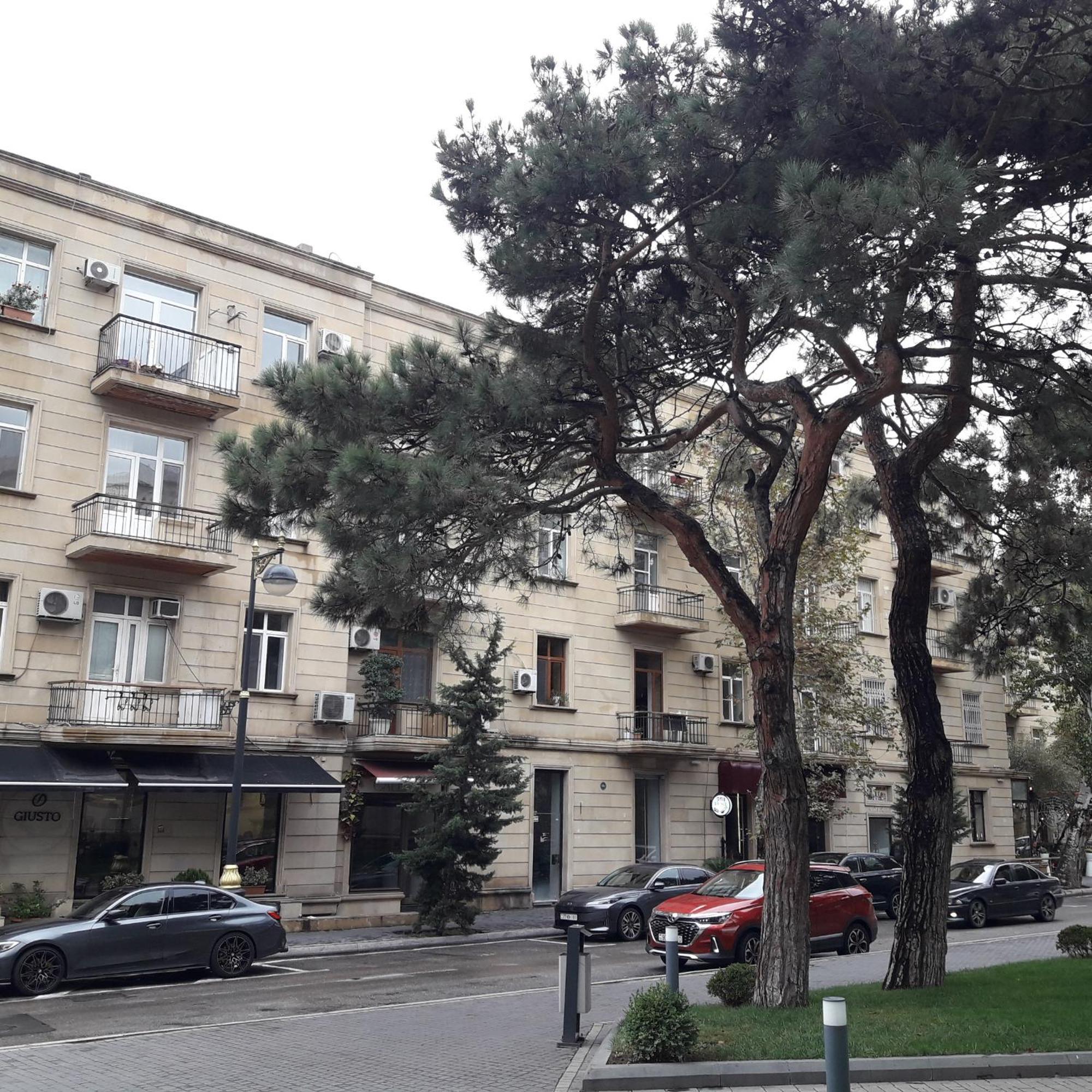 Apartment Niyazi 5 Baku Eksteriør bilde